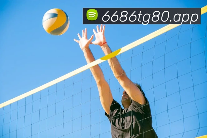 6686APP 体育赛事宣传图